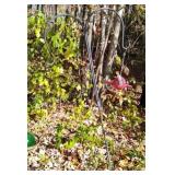 Dual End Shepherds Hook w/Bird Feeder