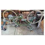 Schwinn Green Bike