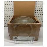 20 10 inch Glass Plates