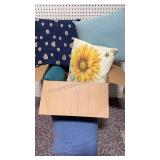 Box Full of Clean Throw Pillows