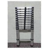 Telescopic Extension Ladder