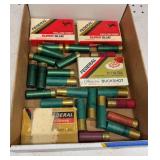 Shot gun Ammunition