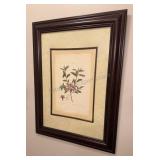 Framed Botanical Azalea Print 26x34