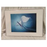 Framed Art Print 21x28