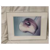 Framed Art Print 21x28