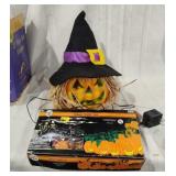 Fiber Optic Pumpkin and Light Set