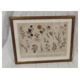 Framed Art Print 16x20