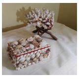 Seashell