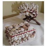 Natural Coral Piece & Seashell Jewelry Box
