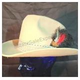 Cowboy style hat with feathers. Goorin of
