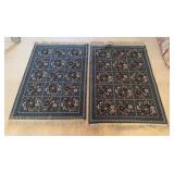 Pair of Rugs 31x51