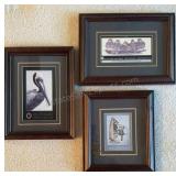 Expo Prints Signed on Glass