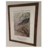 Green Heron Wildlife Expo Signed Poster 24.5x31