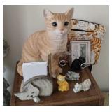 Cats