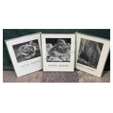 Group of Ansel Adams Framed Prints