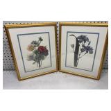 Pierre-Joseph Redoutï¿½ Framed Botanical Prints