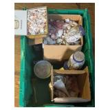 Large Group of Assorted Sea Shells