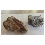 Petrified Wood & Volcanic Rock