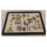 Tray of Assorted Pins
