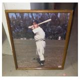 Autographed Joe Dimaggio W/ COA 17x21
