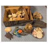 assorted collection of natural sea shells & More