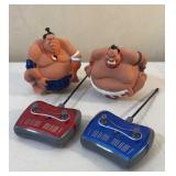 Remote control Sumo wrestlers
