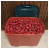Tote of Apple Ornaments