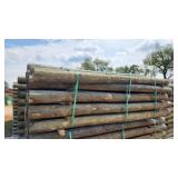 4x8 treated posts each x qty