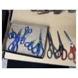 Tray of scissors