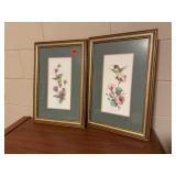 Matching hummingbird pictures