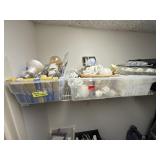 Miscellaneous light bulbs, styles and watts.