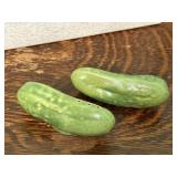 Pickle salt & pepper shaker set