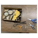 Magnifying glasses, scissors, patch, buckeyes