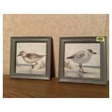 Sandpiper pictures (2)