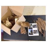 Box of large California pine cones