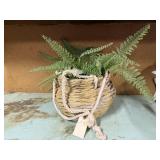 Hanging basket, plastic fern