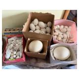 Ostrich, chicken, variety of blown bird eggs