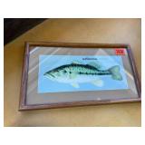 In-Fisherman wall decorframed printed envelope