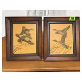 Vintage Pintail, Blue Wing Teal bird pictures (2)
