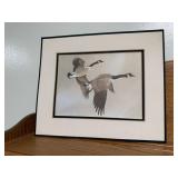 Matted Canadian Geese art print