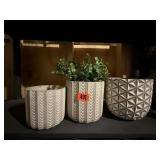 Flower pots (3), greenery