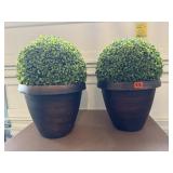 Flower pots, greenery