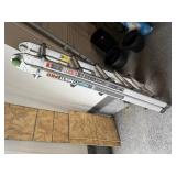 Mighty Multi-Pro ladder