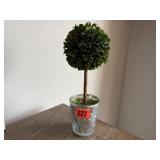 Tabletop topiary