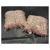 Fringe throw pillows (2)