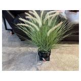 Decorative grass, planter