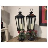 Decorative holiday lights (2)