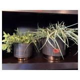 Black flower pots, greenery included