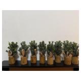 Place card trees