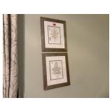Framed botanical art prints (2)